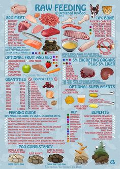 the raw food guide for dogs and cats is shown in this graphic diagram, which shows how