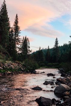 a river running through a forest filled with lots of rocks and trees in the distance