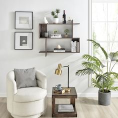 a living room filled with furniture and a potted plant on top of a table