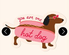 a sticker that says you are one hot dog with a dachshund on it