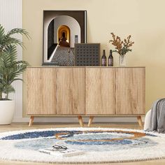 a living room area with a rug, potted plant and wooden cabinet