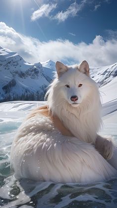 a large white dog sitting on top of a body of water next to snow covered mountains