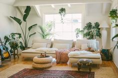 a living room filled with lots of plants next to a large rug on top of a hard wood floor