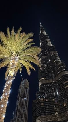 two tall buildings with lights on them and a palm tree in the foreground