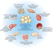 Lipid signaling and lipotoxicity in metaflammation: indications for metabolic disease pathogenesis and treatment - ScienceDirect Biochemistry, Nutrition