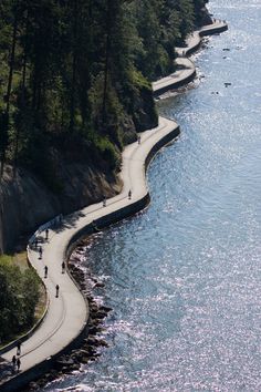 an aerial view of the shoreline with people walking along it and trees lining the shore