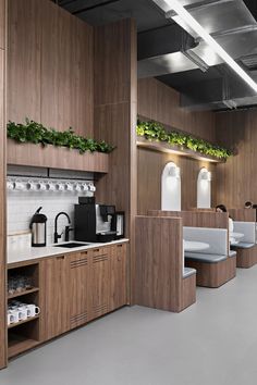 a kitchen with wooden cabinets and plants growing on the wall