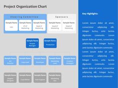 the project organization chart is shown in blue and gray colors, with text below it