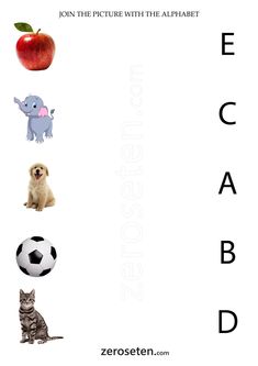 the letter e is for elephant, an apple, and a soccer ball with pictures of animals on it