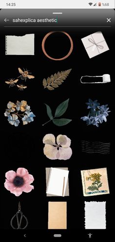 an image of some flowers and other items on a black background with the words saheplica aesthetic