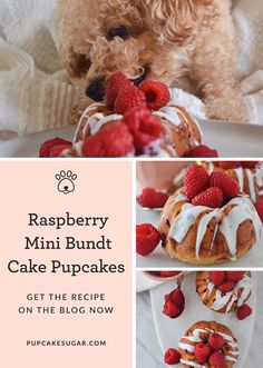 the raspberry mini bundt cake is ready to be eaten