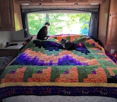 two cats sitting on top of a bed in a motor home