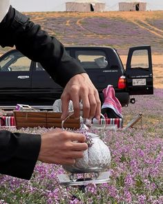 two people are picking up tea in a field with purple flowers and cars behind them