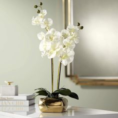 a white orchid in a gold vase on a table next to books and a mirror