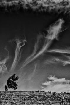 black and white photograph of clouds in the sky over a field with a lone tree