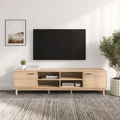 a living room with a large flat screen tv on the wall and plants in vases