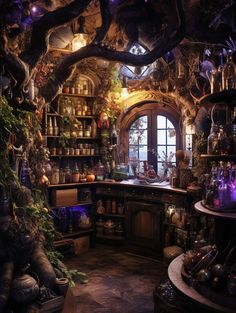 an old fashioned kitchen with lots of plants on the counter and shelves full of bottles