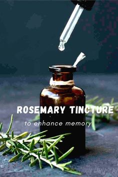 rosemary tincturer being used to enhance memory