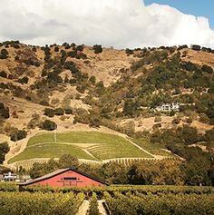 a red barn sits in the middle of a vineyard surrounded by hills and trees on a cloudy day