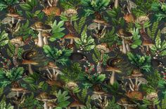 an image of a forest scene with mushrooms and leaves on a dark green background that is very colorful