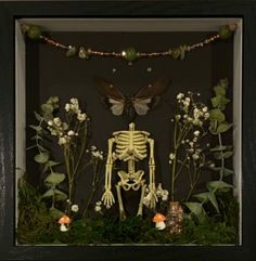 a shadow box with a skeleton and flowers in it