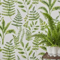 a potted plant sitting on top of a wooden table next to a wallpaper