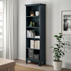 a tall bookcase with many books on it next to a potted plant and window