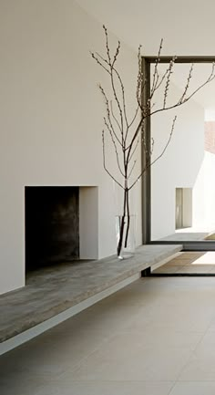 a white room with a fireplace and some branches on the mantle in front of it