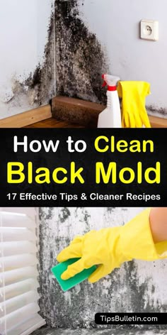 how to clean black mold and effective tips & cleaner recipes