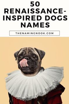 In search of a name that reflects your dog’s stately bearing, creative spirit, or investigative nature? Click through to uncover names that capture the Renaissance vibe. Here are our 50 Renaissance Inspired Dog Names... Lorenzo Ghiberti, Giorgio Vasari, Loyal Dogs, Art Science