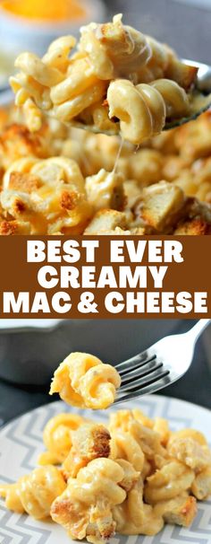 the best ever creamy mac and cheese recipe