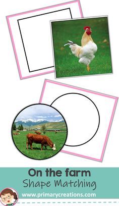 an image of farm animals with the words on the farm shape matching in pink and white