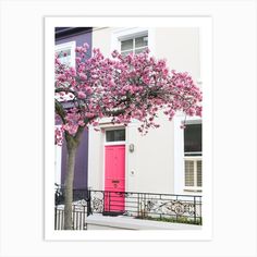 a tree with pink flowers in front of a building and a red door on the other side