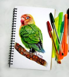 a bird is sitting on a tree branch next to markers and pencils in front of it