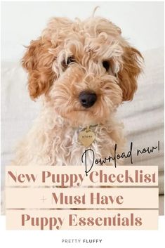 a dog sitting on top of a couch with the words new puppy checklist must have essentials