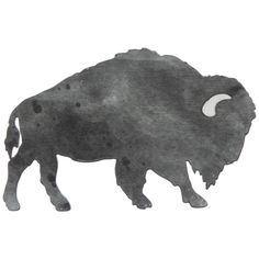 an ink drawing of a buffalo standing in front of a white background with the word bison written on it