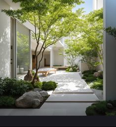 an outdoor courtyard with trees, rocks and benches