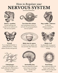 Nervus Vagus, Regulate Your Nervous System, Vie Motivation, Shadow Work, Mental And Emotional Health, Spirituality Energy, Mind Body Soul, Self Care Activities, Holistic Healing