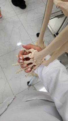 a person holding a model of the human body