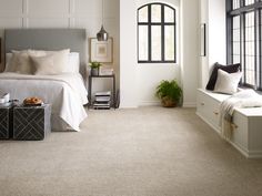 a bedroom with white walls and carpeted flooring