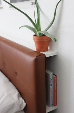 a potted plant sitting on top of a shelf next to a bed