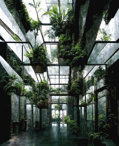 the inside of a building with plants growing in it