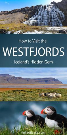 how to visit the west fjords iceland's hidden gems