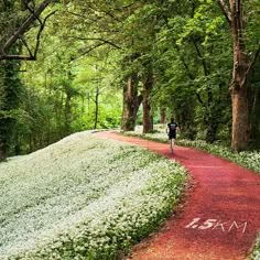 a person riding a bike down a dirt road in the middle of trees and flowers