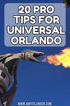 an image of a fire breathing dragon with the words 20 pro tips for universal orlando