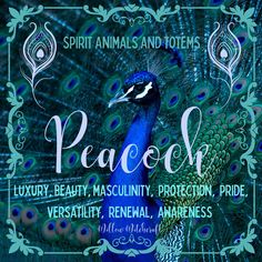 a peacock with its feathers spread out in front of the words, peace luxury beauty, masculinity protection pride, versanal awareness