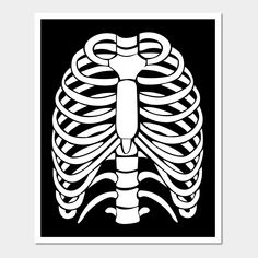 a black and white image of a skeleton with ribs in the ribcable section