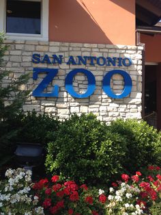 there is a sign that says san antonio zoo in front of some flowers and bushes