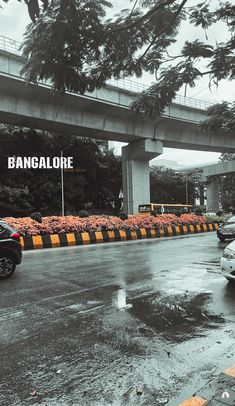 cars are parked on the side of the road in front of an overpass that reads bangalore