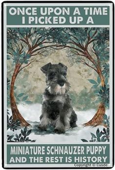 a dog is sitting in front of a tree with the words, once upon a time i picked up a miniature schnauzer puppy and the rest is history